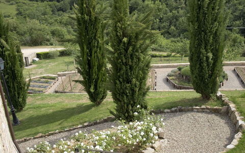 La Maccinaia 14: Albero, Erba, Botanica, Giardino, Casa, Architettura, Paesaggio, Landscaping, Pianta, Costruzione