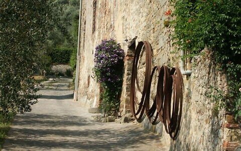 La Loggia 13: Parete, Cittadina, Albero, Acqua, Strada, Roccia, Strada, Architettura, Casa, Infrastruttura