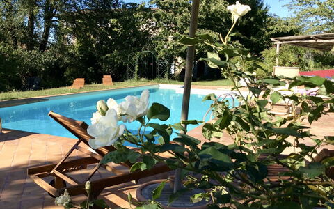 La Cenerara: Proprietà, Fiore, Pianta, Immobiliare, Botanica, Casa, Piscina, Albero, Casa, Villa