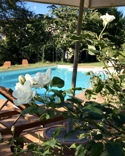 La Cenerara: Proprietà, Fiore, Pianta, Immobiliare, Botanica, Casa, Piscina, Albero, Casa, Villa