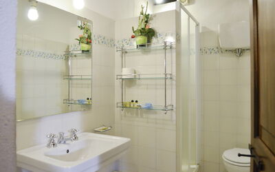 Mimosa: Specchio, Idraulico Fixture, Proprietà, Lavello, Rubinetto, Verde, Bagno, Lavandino Del Bagno, Blu, Viola
