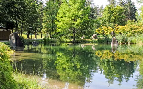 Maso Dolcevista: Acqua, Corpo D'Acqua, Albero, Risorse Idriche, Verde, Natura, Ambiente Naturale, Paesaggio Naturale, Alveo, Riflessione