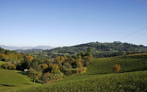 La Selva: Paesaggio Naturale, Collina, Natura, Geografia Montane, Cielo, Pascolo, Vegetazione, Campo, Highland, Ambiente Naturale
