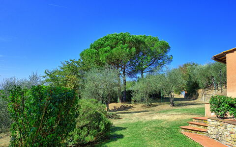 La Selva: Natura, Verde, Paesaggio Naturale, Albero, Proprietà, Vegetazione, Cielo, Erba, Giardino, Immobiliare