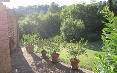 Il campo al mattino presto