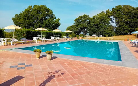 Fattoria le Chianacce: Acqua, Cielo, Pianta, Costruzione, Piscina, Azzurro, Albero, Mobili Da Esterno, Nube, Sedia