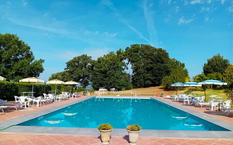 Fattoria le Chianacce: Acqua, Cielo, Pianta, Nube, Piscina, Costruzione, Azzurro, Albero, Mobili Da Esterno, Shade
