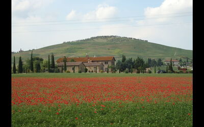 Alloggio:&nbsp;Gatto