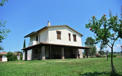 Casa vacanza Nonno Tobia - Magliano in Toscana, Toscana, Italia - Il Nido
