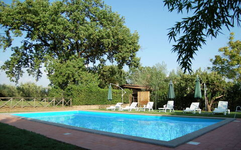 Casa Grion: Acqua, Pianta, Cielo, Proprietà, Verde, Azzurro, Shade, Erba, Piscina, Albero