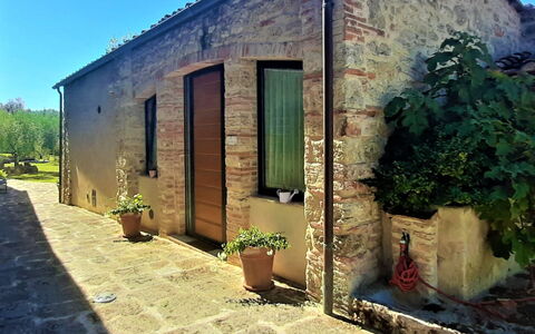 Pieve di Sant Ippolito: Pianta, Costruzione, Verde, Cielo, Vaso Di Fiori, Porta, Finestra, Lotto, Pianta Della Casa, Parete