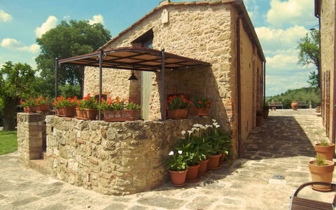 Pieve di Sant Ippolito: Pianta, Fiore, Cielo, Nube, Proprietà, Costruzione, Vaso Di Fiori, Albero, Shade, Legna