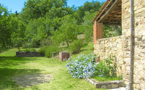 Casa Rossa: Arbusto, Giardino, Comunita 'Impianto, Area Rurale, Groundcover, Muro ​​Di Pietra, Primavera, Backyard, Brick