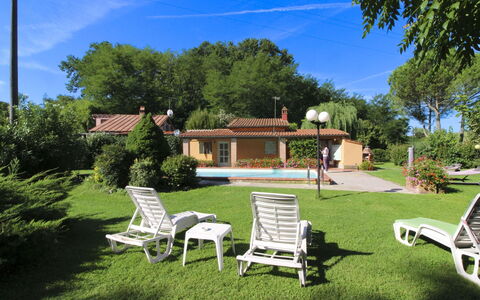 Pagliazzone: Piscina, Arbusto, Ricorrere, Giardino, Estate, Shade, Mobili Da Esterno, Backyard, Villetta