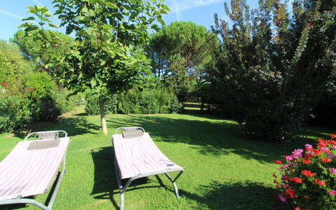 Pagliazzone: Pianta, Cielo, Comunita 'Impianto, Fiore, Nube, Paesaggio Naturale, Botanica, Albero, Shade, Mobili Da Esterno