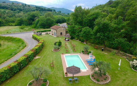 La Casa di Pino: Pianta, Nube, Cielo, Natura, Verde, Albero, Lotto, Urban Design, Biome, Paesaggio Naturale