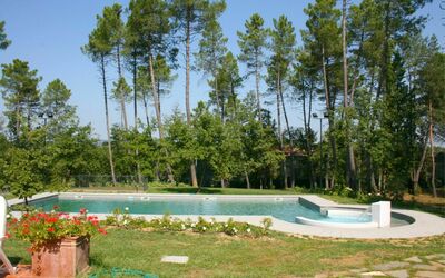 Casa vacanza Verde Incanto - San Timoteo, Toscana, Italia