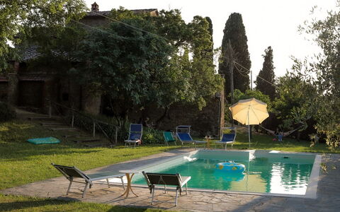 Olivo: Acqua, Pianta, Cielo, Verde, Piscina, Albero, Shade, Mobili Da Esterno, Erba, Costruzione