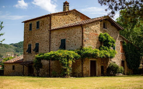 Olivo: Pianta, Costruzione, Cielo, Nube, Finestra, Albero, Casa, Lotto, Porta, Villetta