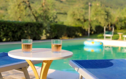 Olivo: Acqua, Tavolo, Mobilia, Proprietà, Tavola, Azzurro, Mobili Da Esterno, Pianta, Tavolo Esterno, Albero