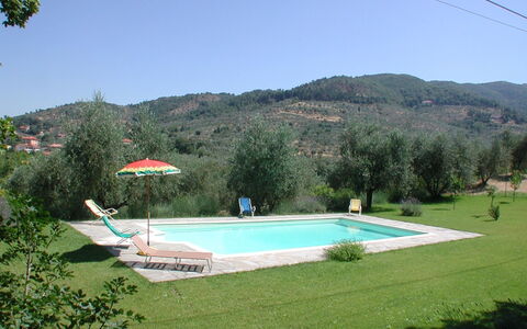 Olivo: Cielo, Acqua, Proprietà, Pianta, Piscina, Botanica, Albero, Costruzione, Lotto, Rettangolo
