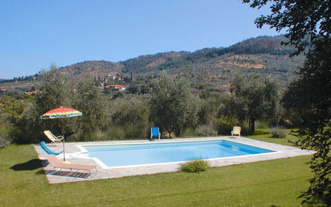 Olivo: Acqua, Cielo, Pianta, Piscina, Montagna, Shade, Rettangolo, Albero, Lotto, Mobili Da Esterno
