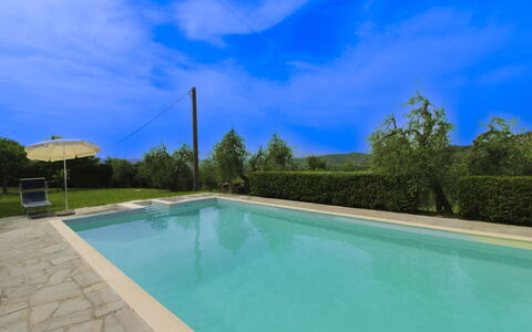 Olivo: Erba, Casa, Casa, Area Rurale, Villetta, Agriturismo, Estate, Prato, Prato, Landscaping