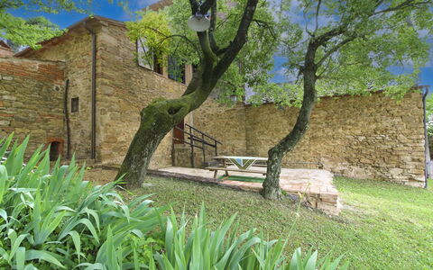 Olivo: Erba, Casa, Casa, Area Rurale, Villetta, Agriturismo, Estate, Prato, Prato, Landscaping