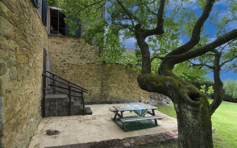 Olivo: Erba, Casa, Casa, Area Rurale, Villetta, Agriturismo, Estate, Prato, Prato, Landscaping