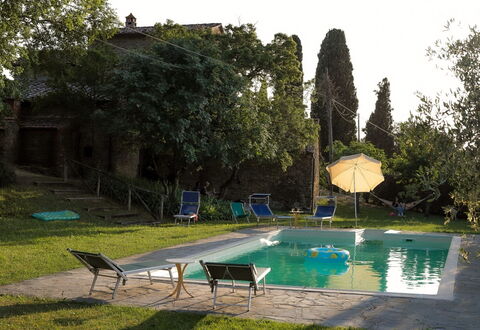 Olivo: Acqua, Pianta, Cielo, Verde, Piscina, Albero, Shade, Mobili Da Esterno, Erba, Costruzione