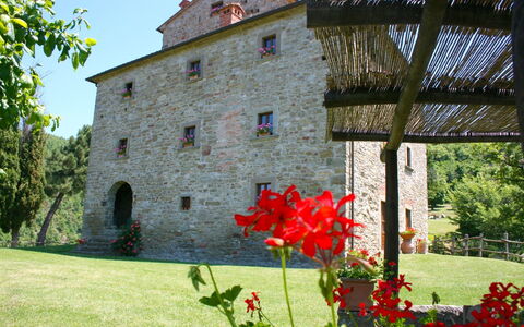 Torre di Vignale: Fiore, Pianta, Costruzione, Proprietà, Finestra, Petalo, Cielo, Albero, Vegetazione, Erba