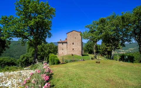 Torre di Vignale