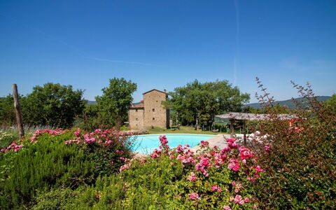 Torre di Vignale