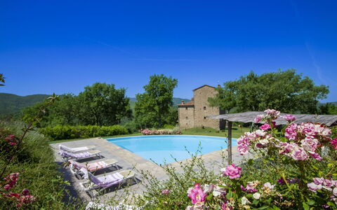 Torre di Vignale