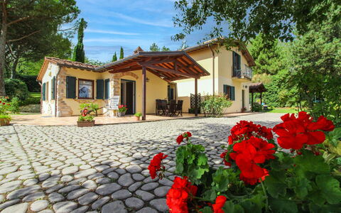 Villino Alba: Casa, Casa, Villetta, Porta, Giardino, Driveway, Shade, Estate, Cortile, Backyard