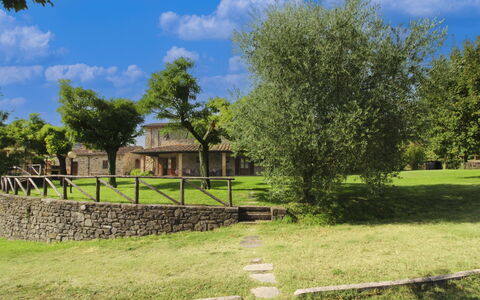 Casale Lorenzo: Albero, Plain, Lotto, Prato, Giardino, Estate, Prato, Landscaping, Cortile, Agriturismo