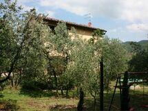 Collina Dei Fiori