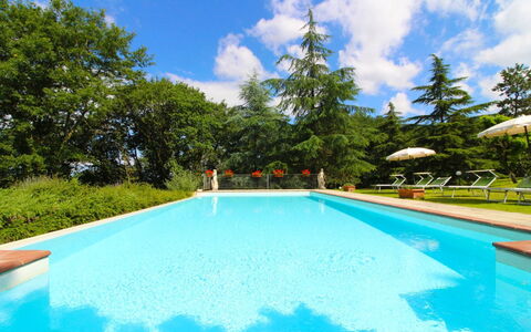 Villa Cecilia: Acqua, Nube, Pianta, Cielo, Piscina, Albero, Shade, Erba, Paesaggio Naturale, Tempo Libero