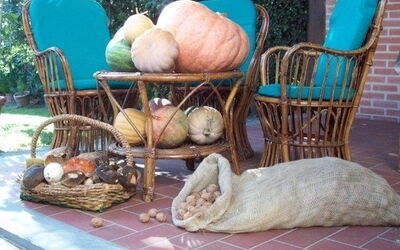 abbiamo raccolto i funghi, le zucche e le noci!