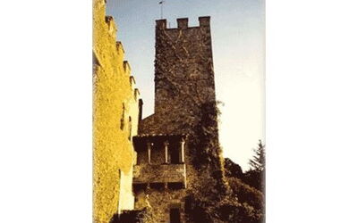 Alloggio:&nbsp;Torre Del Vescovo
