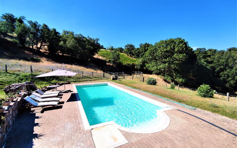 Casalini: Acqua, Cielo, Pianta, Piscina, Natura, Albero, Rettangolo, Erba, Corpo D'Acqua, Shade