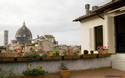 Casa vacanza Apartment Oriuolo - Firenze, Toscana, Italia