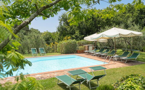 Centolivi 14: Giardino, Ricorrere, Mobili Da Esterno, Estate, Shade, Prato, Eco Hotel, Hacienda, Landscaping, Cortile