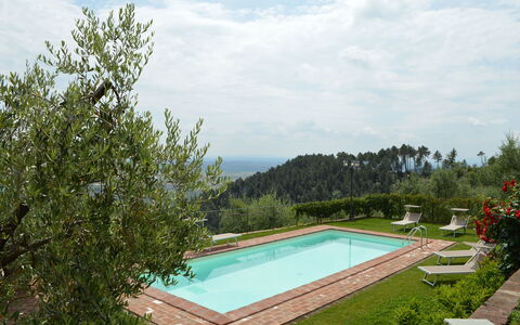 Nel Guasto: Piscina, Proprietà, Casa, Immobiliare, Albero, Costruzione, Estate, Ricorrere, Erba, Vacanza