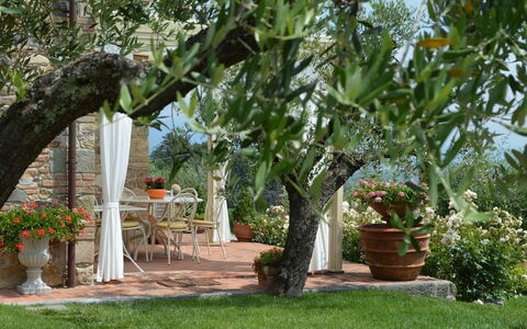 Nel Guasto: Albero, Proprietà, Giardino, Pianta, Botanica, Backyard, Cortile, Woody Impianto, Fiore, Landscaping