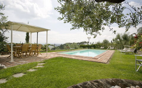 Nel Guasto: Proprietà, Backyard, Erba, Casa, Piscina, Immobiliare, Casa, Prato, Cortile, Costruzione