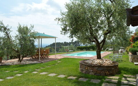Nel Guasto: Proprietà, Cortile, Erba, Backyard, Albero, Prato, Immobiliare, Casa, Landscaping, Lotto