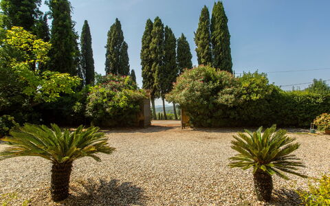 Villa Pedone: Pianta, Cielo, Comunita 'Impianto, Albero, Lotto, Erba, Sempreverde, Arecales, Paesaggio Naturale, Woody Impianto