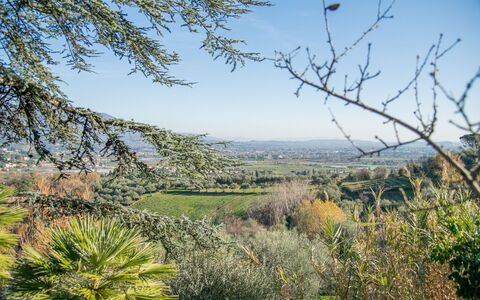 Villa Pedone: Cielo, Pianta, Comunita 'Impianto, Paesaggio Naturale, Lotto, Albero, Ramoscello, Erba, Paesaggio, Plain