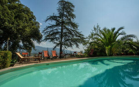 Villa Pedone: Acqua, Cielo, Pianta, Proprietà, Piscina, Paesaggio Naturale, Albero, Arecales, Tempo Libero, Immobiliare